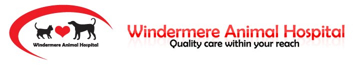 Windermere Animal Hospital - Quality care within your reach